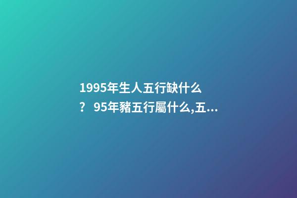 1995年生人五行缺什么？ 95年豬五行屬什么,五行缺什么-第1張-觀點-玄機派